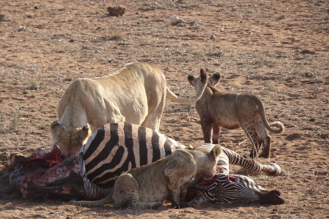 6 Days Kenya Masai Mara,Lake Nakuru & Amboseli Wildlife Safari - Lake Nakuru and the Out Africa Lookout: Birds, Scenery, and a Good Change of Pace