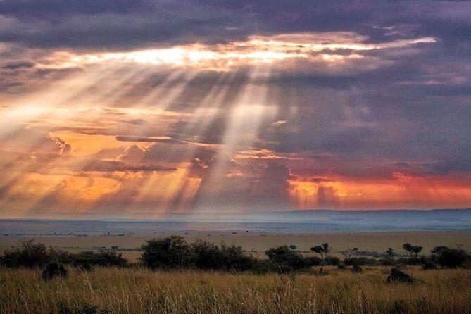 6 Days Maasai Mara/Nakuru/Amboseli Group Safari - Day 1 in the Maasai Mara: rift valley viewpoint, Narok lunch, and a first sunset drive