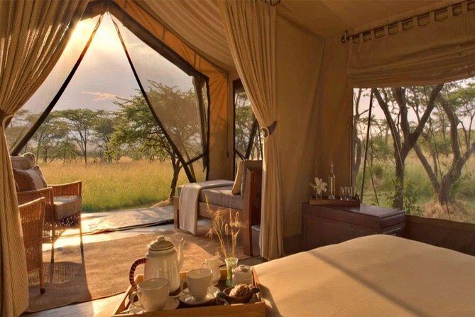 6 Days Maasai Mara/Nakuru/Amboseli Group Safari - Day 3 to Lake Nakuru: changing ecosystems, early game drive, and the bird-and-rhino focus
