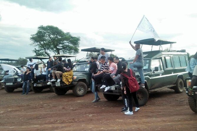 6 Days Maasai Mara/Nakuru/Amboseli Group Safari - What the group setup and vehicle comfort really mean