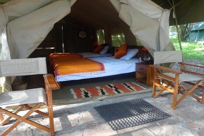 6 Days Maasai Mara/Nakuru/Amboseli Group Safari - Day 2 in the Maasai Mara: big game time, Hippos Pool lunch break, and optional balloon or Maasai culture