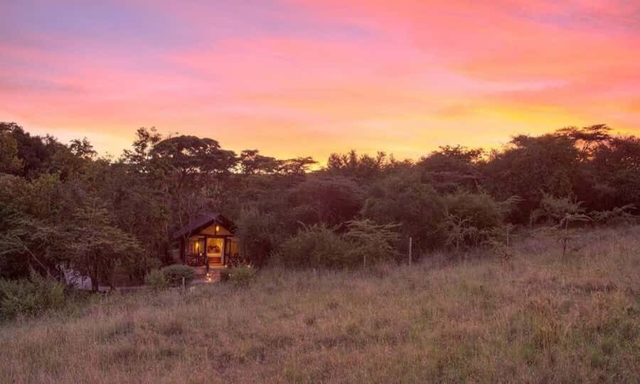 6 Days Small Group Safari To Masai Mara, Nakuru And Amboseli - Key things that make this safari work (and feel worth it)