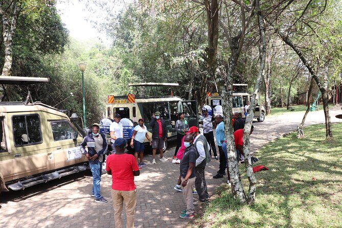 6 nights 7 days Masai Mara budget safari. - Customer Care That People Actually Notice