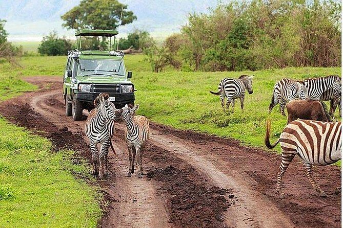 6Days Amboseli, Lake Nakuru and Masai Mara Camping Safari on Jeep - Camp comfort: what included lodging and meals actually mean
