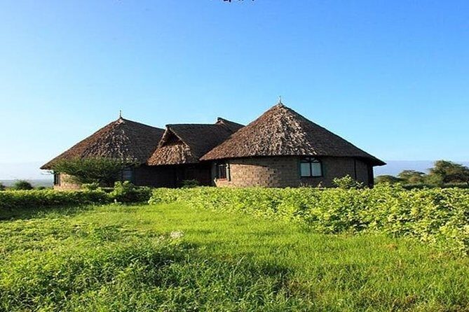 7 Day Maasai Mara, Lake Nakuru, Lake Naivasha and Amboseli Safari - Amboseli with Mount Kilimanjaro: elephants, swamp views, and morning light