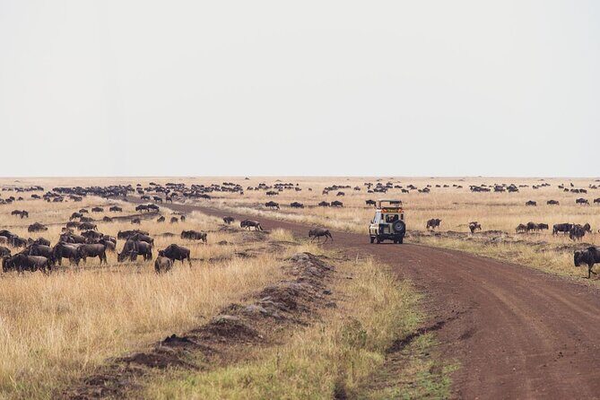7 Day Private Jeep Safari, 5 star lodges with Balloon Ride Kenya - Lake Nakuru on the way south: animals, plus a smooth transition