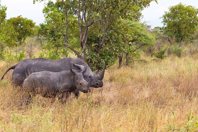 7-Day Private Tour in Kenya National Parks From Nairobi / Mombasa - The Big Picture: A Practical Kenya Safari Route (Not Just a Checklist)