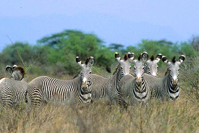7-Day Private Tour in Kenya National Parks From Nairobi / Mombasa - Lake Naivasha and Hell’s Gate: Cycling Safari + Optional Boat Time