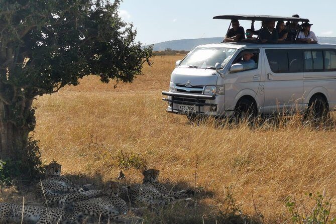 7 Days Amboseli, Naivasha, Maasai Mara and Lake Nakuru game parks - Culture stops: Maasai village time and an Ololaimutiek-area visit