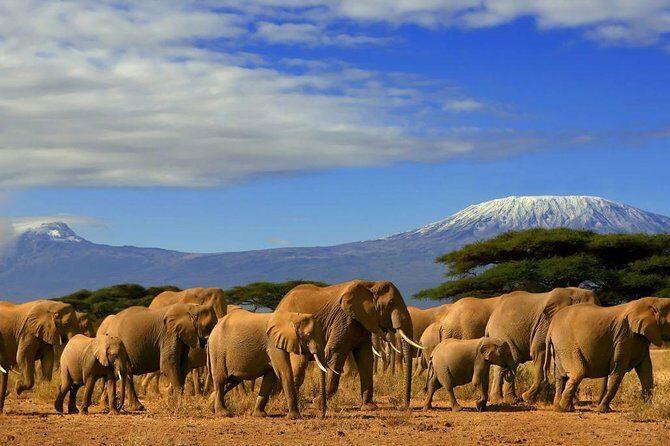 7 Days Amboseli, Naivasha, Maasai Mara and Lake Nakuru game parks - Nairobi to Naivasha via the Rift Valley viewpoint: a calmer change of pace