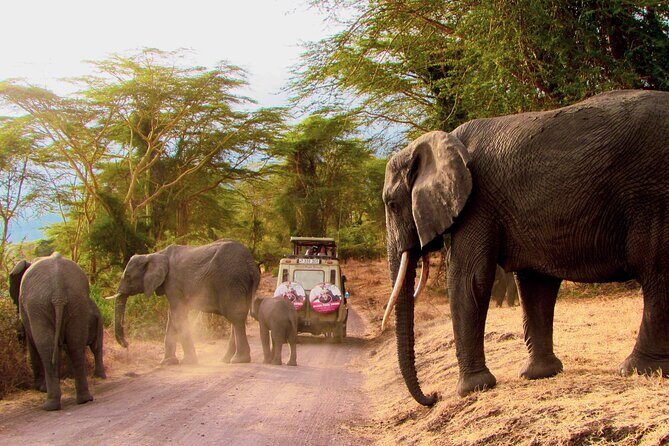 7 Days Best of Kenya Wildlife Safari - Day 1: Nairobi pick-up and the Rift Valley stop to Masai Mara