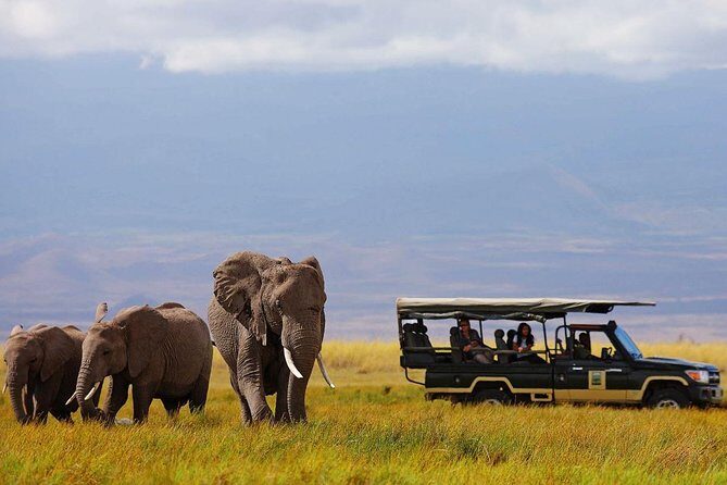7 Days Breathtaking Kenya Wildlife Private Safari - Price and logistics: what $3,995 buys you in Kenya