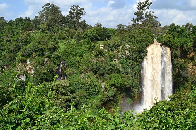 7 Days Breathtaking Kenya Wildlife Private Safari - Day 4: Lake Nakuru National Park with Nyahururu Falls as a reset