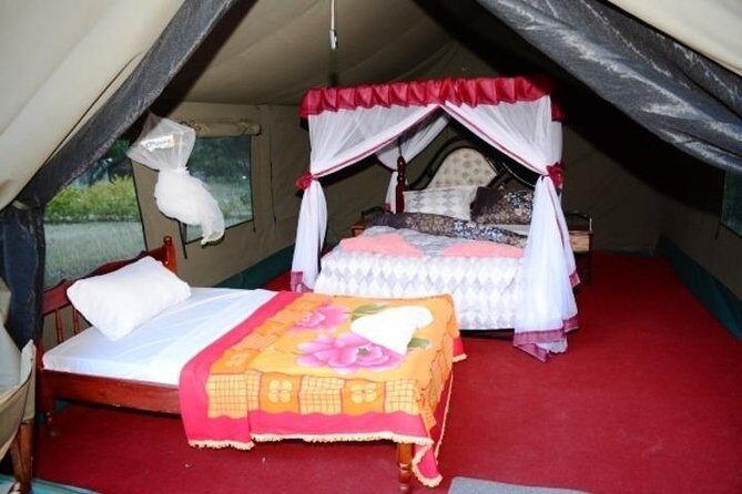 7 days Group Safari Masai Mara Lake Nakuru Hells gate & Amboseli - Lake Naivasha boat time: bird watching and hippo viewing