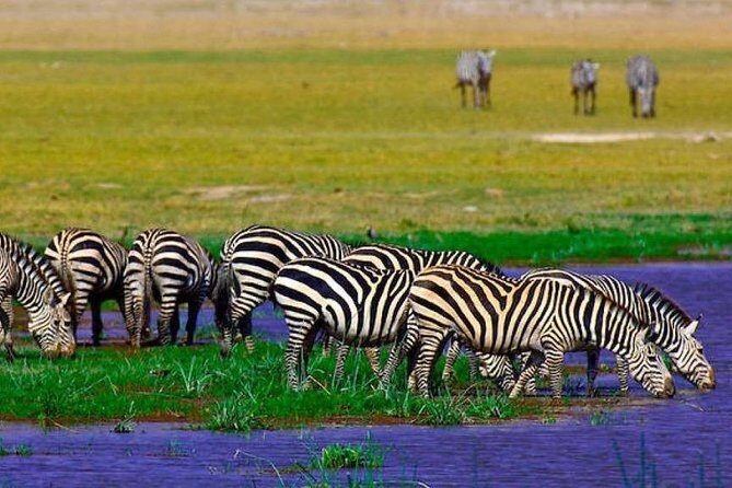 7 Days Into the Wild Wonder : Lodge Safari with Private 4x4 JEEP - Naivasha’s pace: Hell’s Gate option, hippos at close range, and calmer water time