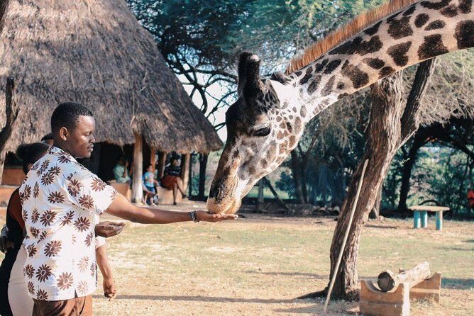 7 Days Kenya Luxury Safaris - Masai Mara NR, Amboseli NP and Lake Nakuru NP - Key Highlights You’ll Feel Right Away