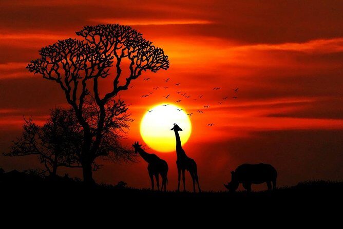 7 Days Kenya Luxury Safaris - Masai Mara NR, Amboseli NP and Lake Nakuru NP - Nairobi Arrival: Getting Oriented Without Losing Daylight