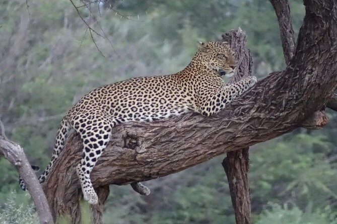 7 Days Maasai Mara National park , Amboseli parks and Nakuru safaris - The route: a private Nairobi-to-three-parks safari loop