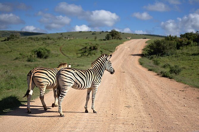 7 Days Mara/L.Naivasha/L.Nakuru/Amboseli - Lake Naivasha and Hell’s Gate: A break from the usual safari loop