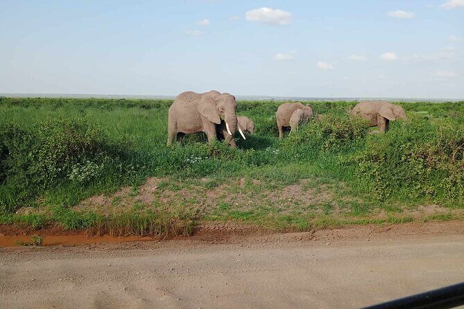 7 Days of Kenyan Wonders: A Mid-Range Safari Adventure - Entering Kenya from Nairobi: what the private setup means