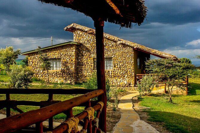 7 Days Private 4 star lodges Safari by LandCruiser from Nairobi - Observation Hill day: packed lunch, long time in the park, and predator focus