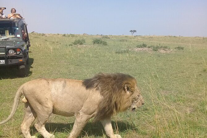 7 Days Private safari to 4 Star lodges using a Jeep - Key highlights to look for