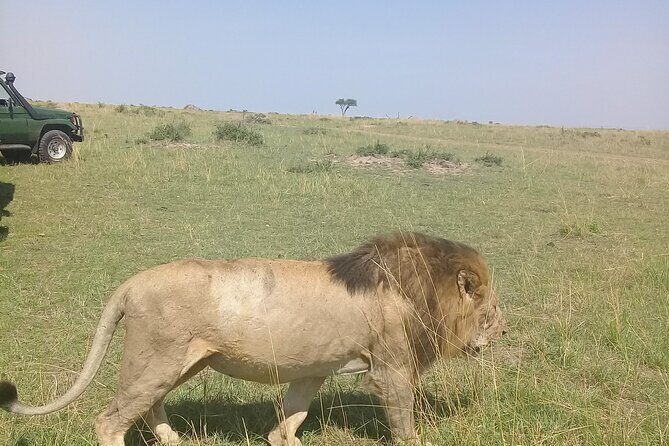 7 Days Private safari to 4 Star lodges using a Jeep - How the 7 days actually flow from Nairobi