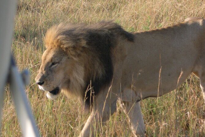 7 Days Private safari to 4 Star lodges using a Jeep - Hell’s Gate by bike (and a safety valve for tired legs)