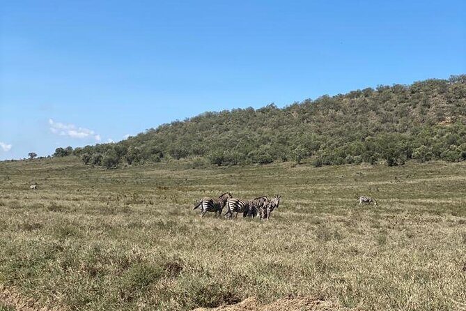 7 Days Private safari to 4 Star lodges using a Jeep - Lodges and meals: value in the included comfort