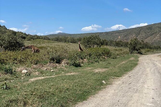 7 Days Private safari to 4 Star lodges using a Jeep - Price and logistics: what your $2,474 really buys