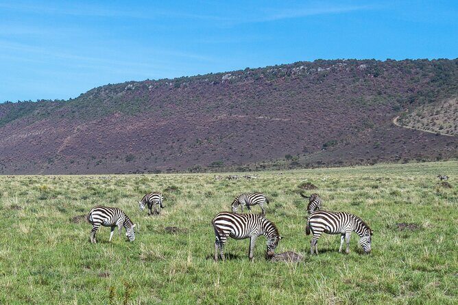 7 Days Safari to Maasai Mara, Nakuru, Naivasha and Amboseli - Naivasha and Hell’s Gate: Cycling, Bird Watching, and a Boat Ride Budget