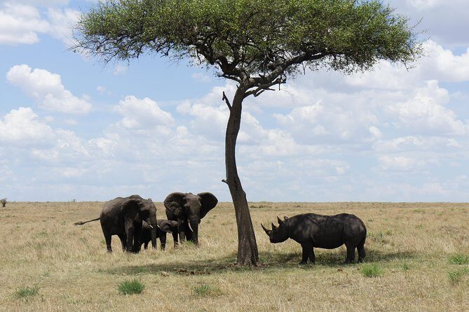 7 days Sopa lodges full private package - The Nairobi start: a private safari machine with Sopa comfort
