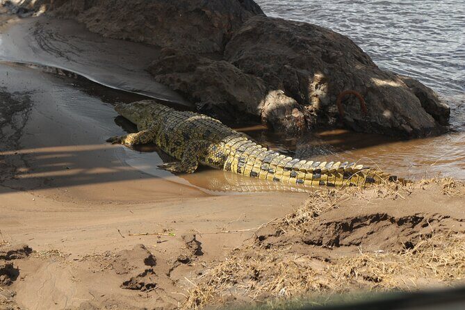 8-Day Amazing Kenya Holiday Safari - Samburu National Reserve: reticulated giraffes and time that isn’t all game drive