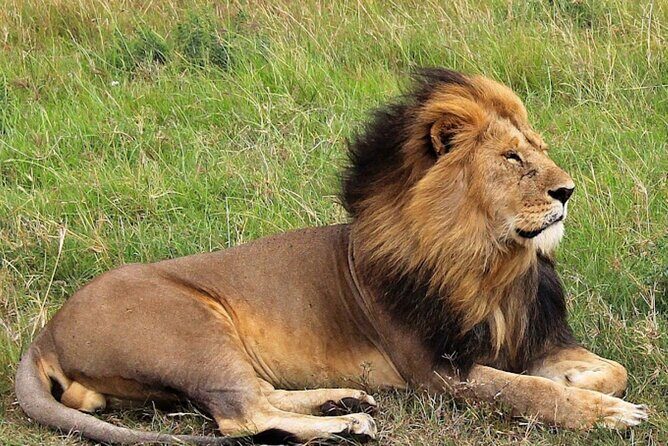 8 Day Bush and Beach Private Holiday Safari - Why this Kenya bush-and-beach combo feels worth the money