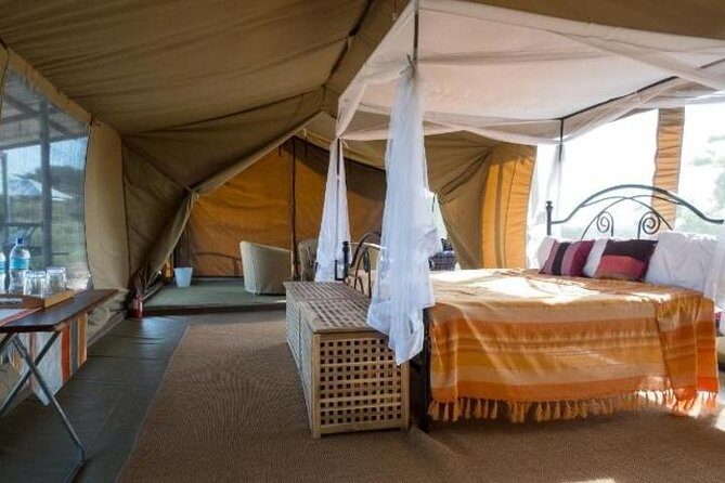 8 Days Kenya and Tanzania Private Lodging Safari from Nairobi - Days 4 and 5 in Serengeti: Hippo Pool, Big Cats, and Ngorongoro Prep