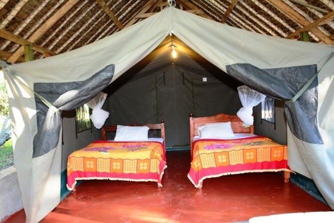 8 Days Kenya and Tanzania Private Lodging Safari from Nairobi - Day 6 at Ngorongoro Crater: Morning Timing and a High-Density Day
