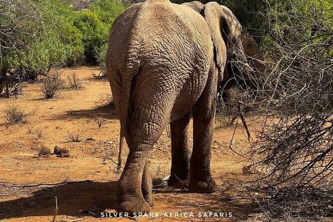 8 Days: Tsavo East National Park Amboseli, Nakuru, Maasai Mara Park - Tsavo East National Park: Voi Safari Lodge and red-earth wildlife time