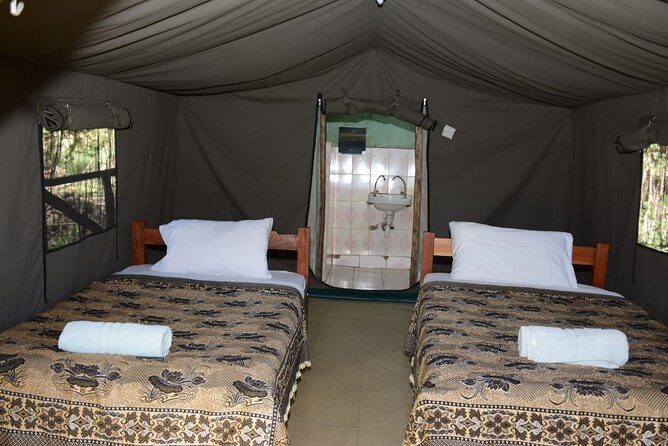 9 days, 8 nights budget Kenya and Tanzania safari - Serengeti days: full-day wildlife density and a World Heritage setting