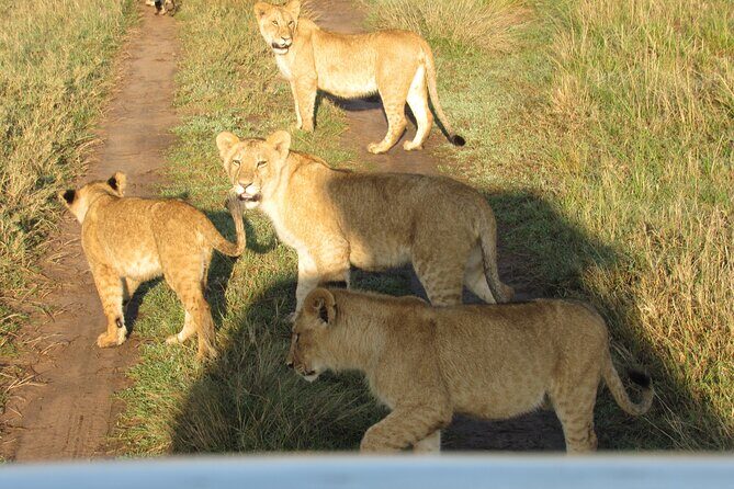 9 Days Amboseli-Ol Pejeta-Aberdare-Nakuru-Naivasha-Masai Mara - Lake Naivasha and Hell’s Gate: Game Drive Options Plus Active Adventures