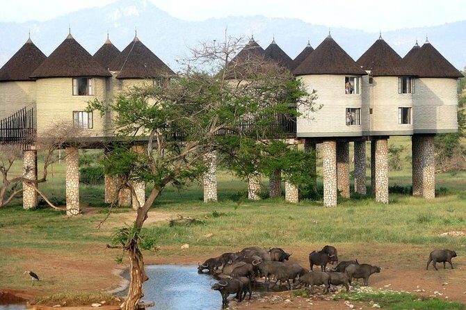 9 Days Kenya Classic Lodge Safari - Tsavo West and Tsavo East: Mzima Springs and that classic East Africa feel