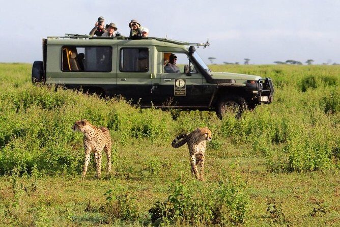 9 Days Kenya Classic Lodge Safari - What the guide experience can feel like in practice