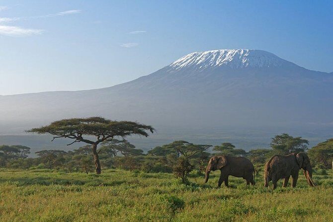 9 Days Samburu- Nakuru- Mara-Naivasha- Amboseli Wild Safari - Price and logistics: what $2,200 buys (and what it doesn’t)