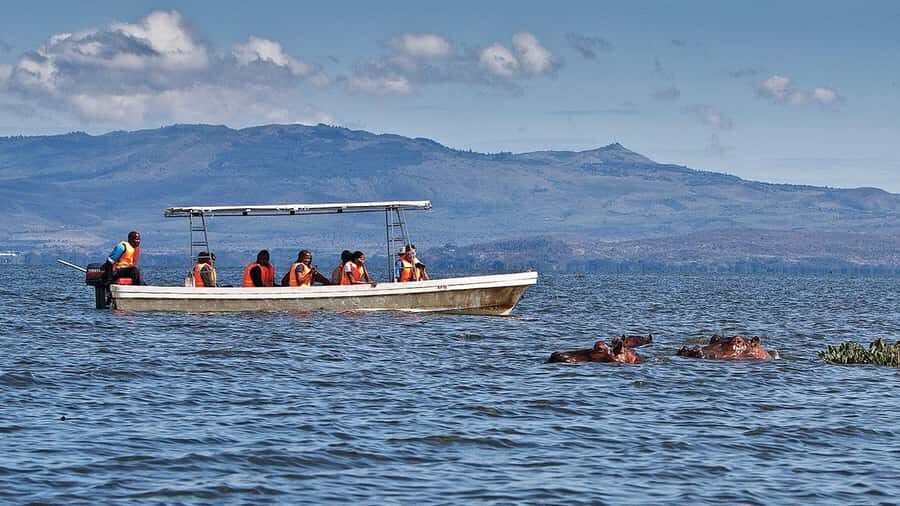A day tour; Lake Nakuru national park& L. Naivasha Boat ride - Lake Nakuru National Park: flamingos, white rhinos, and a game drive that sets the tone