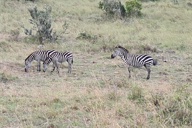 A thrilling Kenya 4 Days Adventure: Masai Mara &Lake Nakuru - What’s included, what costs extra, and what to plan for