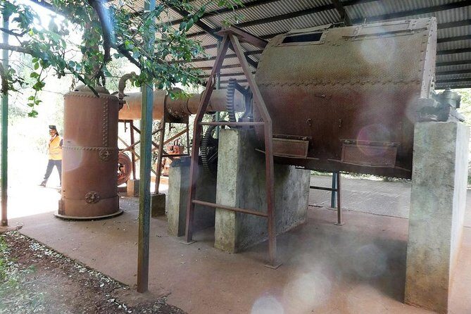 A visit to Karen Blixen Museum - The Out of Africa connection: where expectations may differ