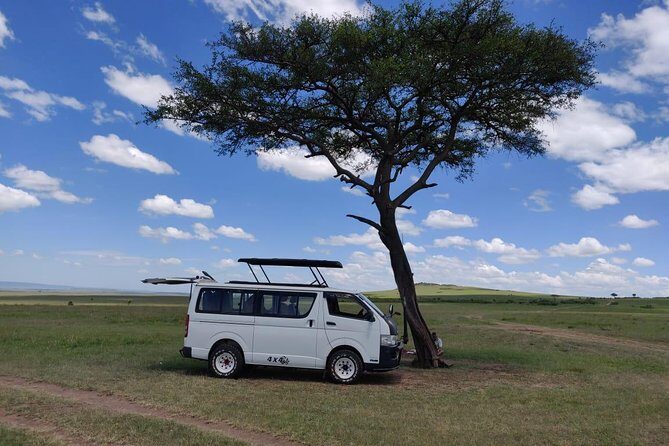 Afternoon half day mini safari to Nairobi National Park - Back to Nairobi by around 6 PM