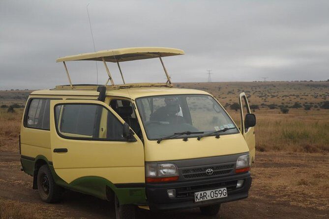 Airport Pick Up To Nairobi National Park / Drop Off - Drop-off to hotel or airport: the payoff after wildlife time