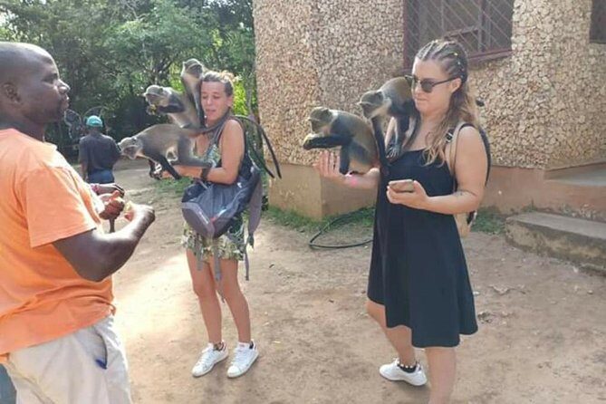 Airport Transfers to Watamu and Malindi - How the Airport Meet-and-Greet Keeps You From Wandering