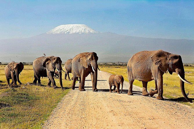 Amboseli Day Trip from Nairobi - The road trip rhythm: about four hours, one quick break