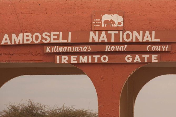 Amboseli Day Trip from Nairobi - How the game drives fit together (and what to do with midday)